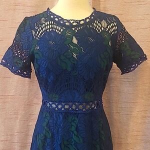 Soieblu Royal Blue Lace Midi Dress